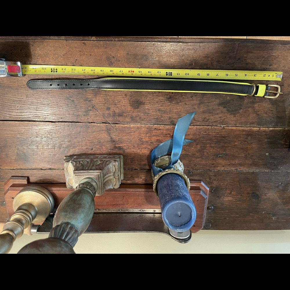 India Hicks leather dog collar w/leash. Black w/limey green trim